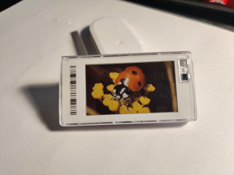 Image of a ladybug on a 4-color ESL