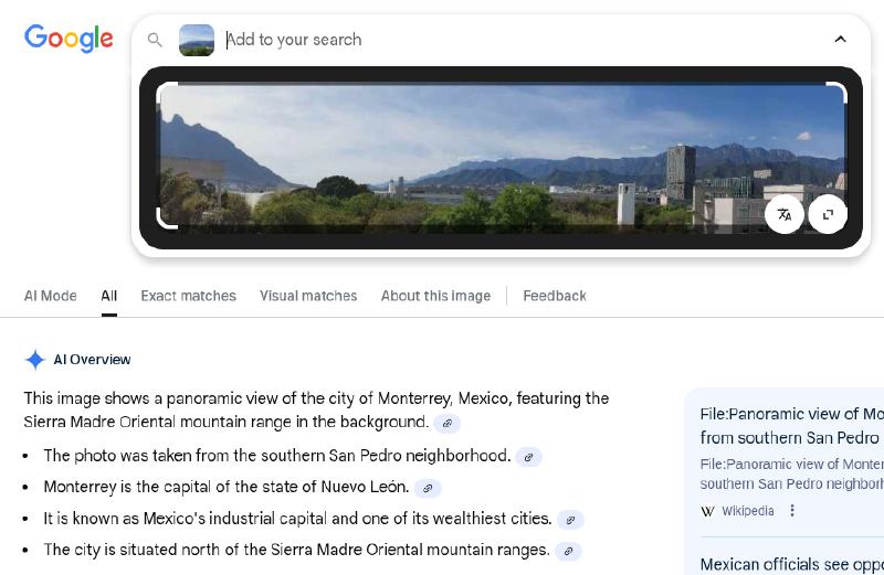 Reverse image search results of cropped image